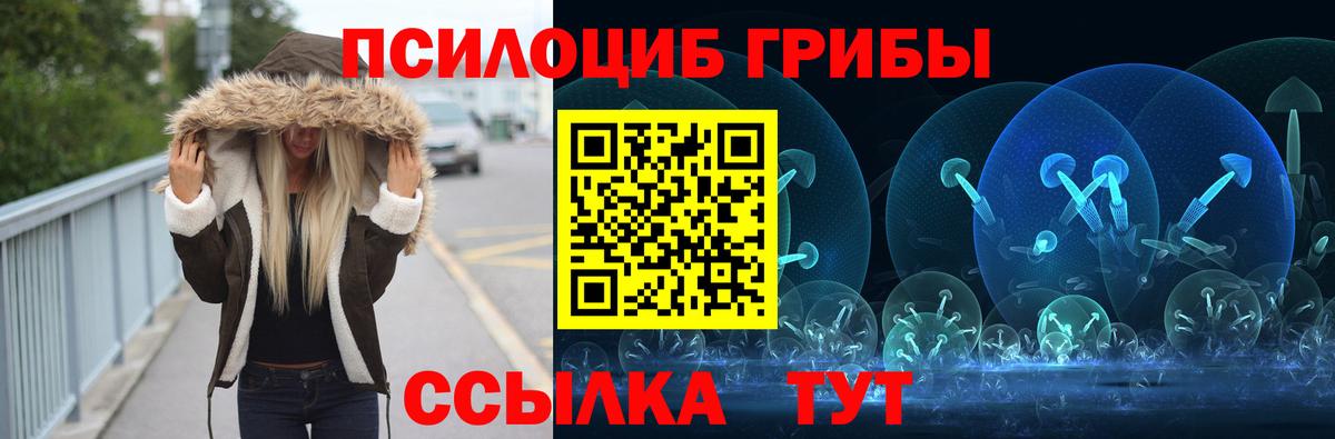 Сорочинск  Галлюциногенные грибы Psilocybine cubensis  Вход с VPN 